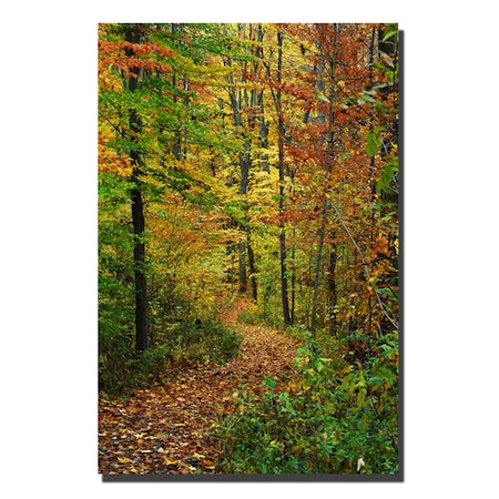 Kurt Shaffer 'Fall Trail' Canvas Art,20x30